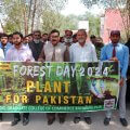 INTERNATIONAL FOREST DAY