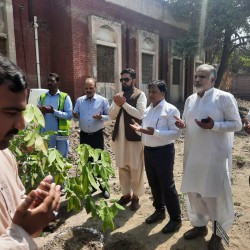 PHA Bahawalpur, Tree Plantation 2022